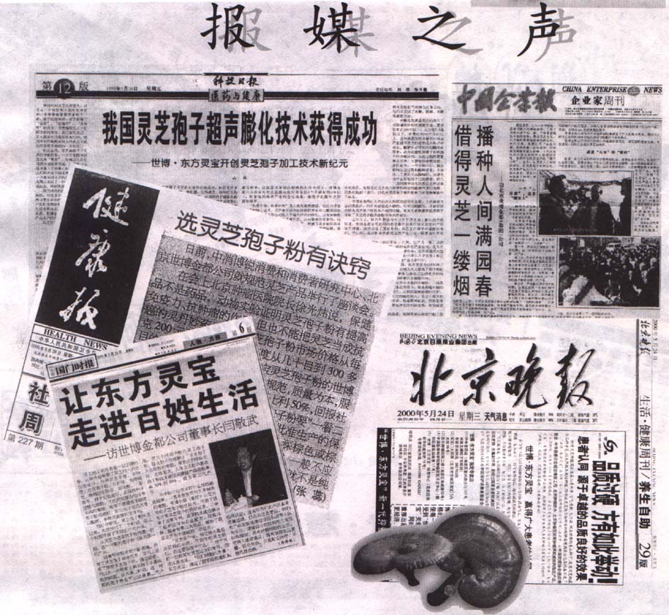 lingzhi_newspaper.jpg